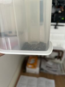 WhatsApp Image 2025-03-06 at 2.09.40 PM